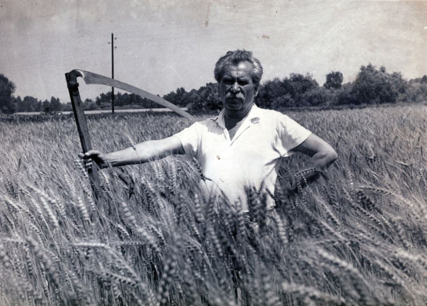 Móricz Zsigmond 1941-ben / Fotó: Zsivkov Anita - Koós Árpád / Kocsis András fényképei