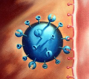A spanyolnátha vírusa / Wikipedia